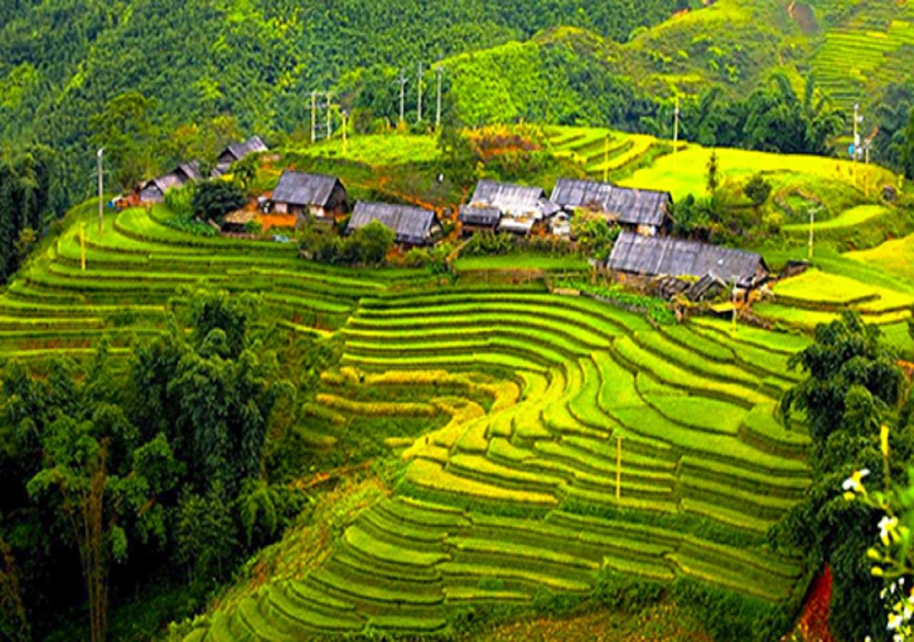 Indigo Inn Sapa Bagian luar foto